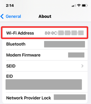 大成镇苹果mac维修如何在iPhone查找MAC地址 