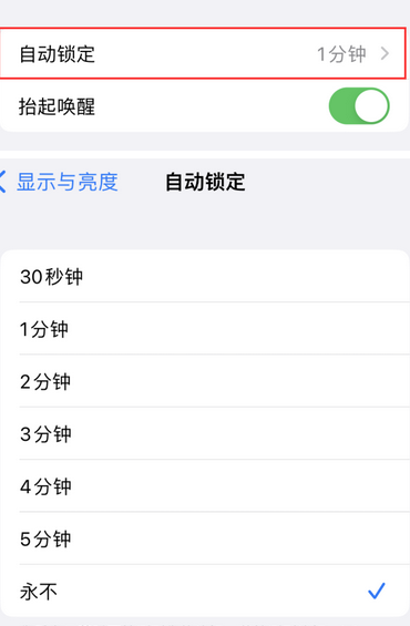 大成镇苹果换屏维修分享无法调整iPhone自动锁屏的时间怎么办