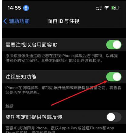 大成镇苹果14维修网点分享iPhone14注视感知功能有什么用 